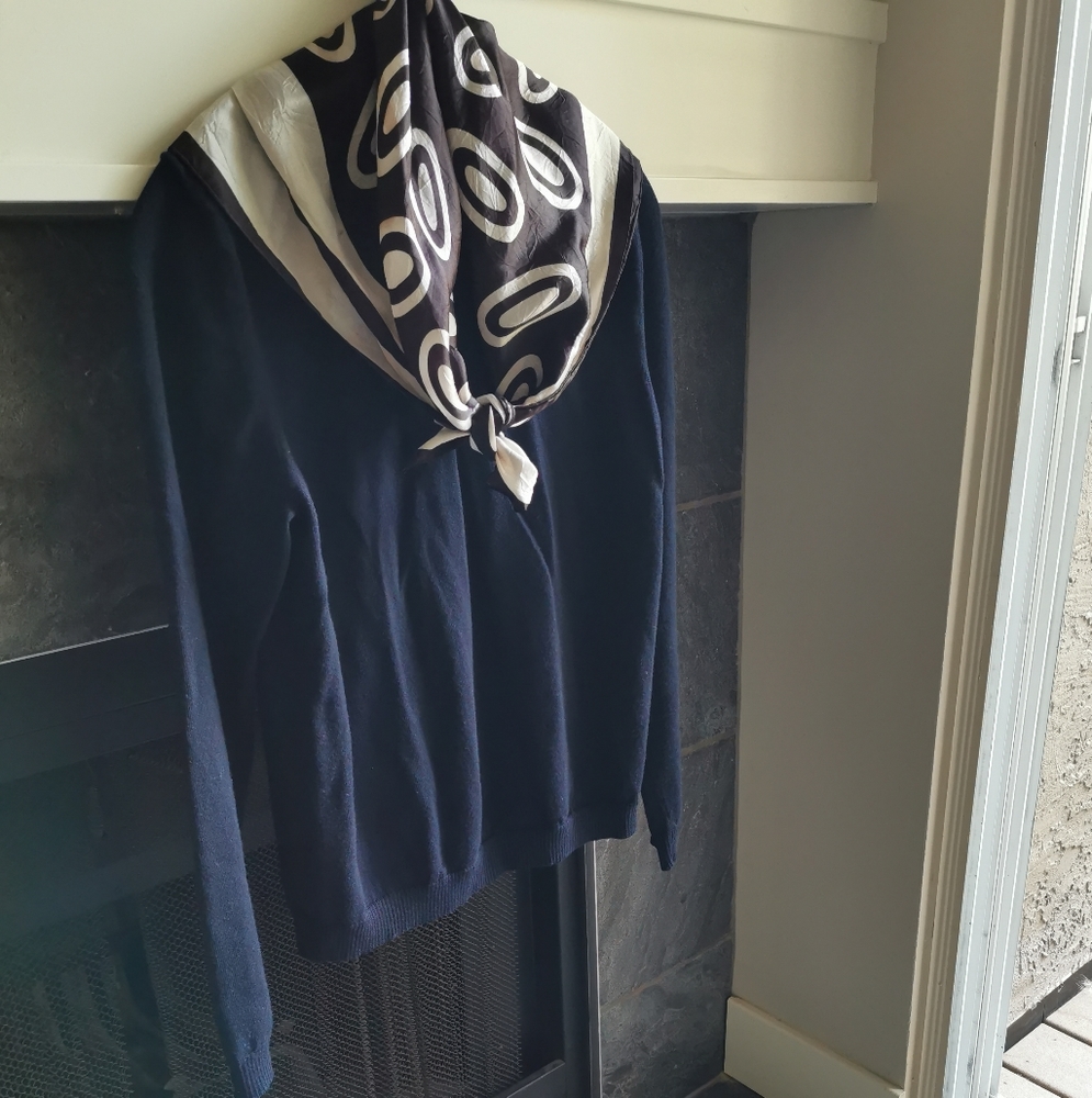 Banana Republic V Neck  Sweater SizeM